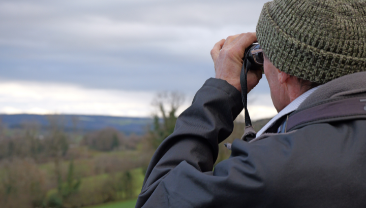 Observation et baguage sur une mangeoire à Rougemont